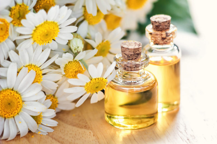 Chamomile Oil